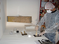 Higienização de fotografias com pincel  macio e pó de borracha, junho de 2013