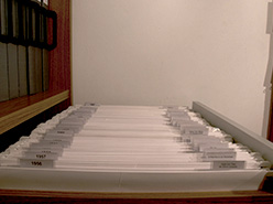 Fotografias organizadas em ordem cronológica, agosto de 2013