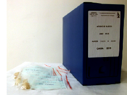 Material organizado, identificado e acondicionado		