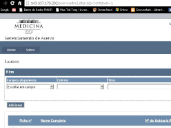 Tela do sistema informatizado  para pesquisa online		