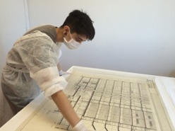 Higienização das plantas de arquitetura