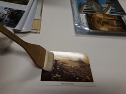 Higienização do acervo