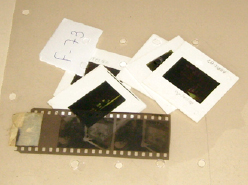 Slides guardados em sacos plásticos de PVC					