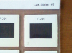 Slides limpos, identificados e acondicionados em poliéster	