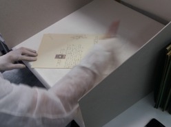 Higienização a seco com trinchas